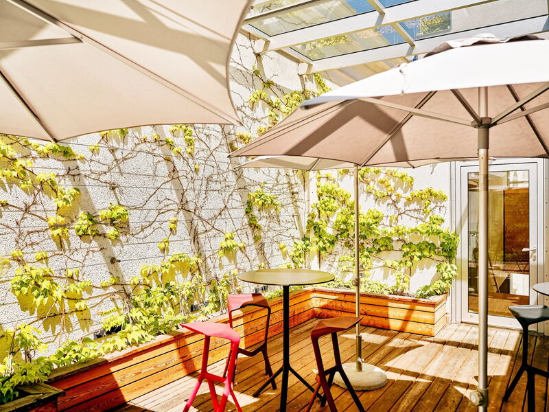Eine sonnige Außenterrasse im Albert Hall mit Holzterrassenboden, modernen Barhockern, einem runden Tisch und großen Sonnenschirmen unter einem Glasdach, vor einer Wand mit grünen Kletterpflanzen.