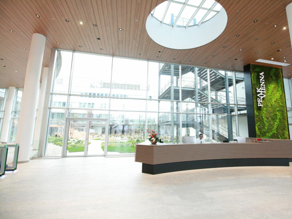 Bright and spacious modern office building lobby featuring a reception desk, wooden ceiling, and large glass windows overlooking a courtyard