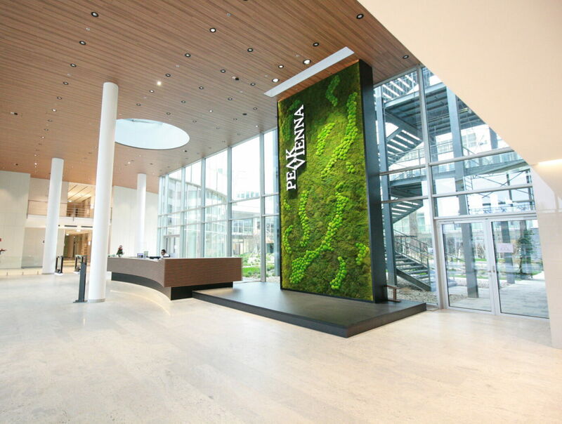 Geräumiges, modernes Bürogebäude-Foyer mit einer großen vertikalen Mooswand und dem Peak Vienna Logo, Holzdecke und großen Fenstern